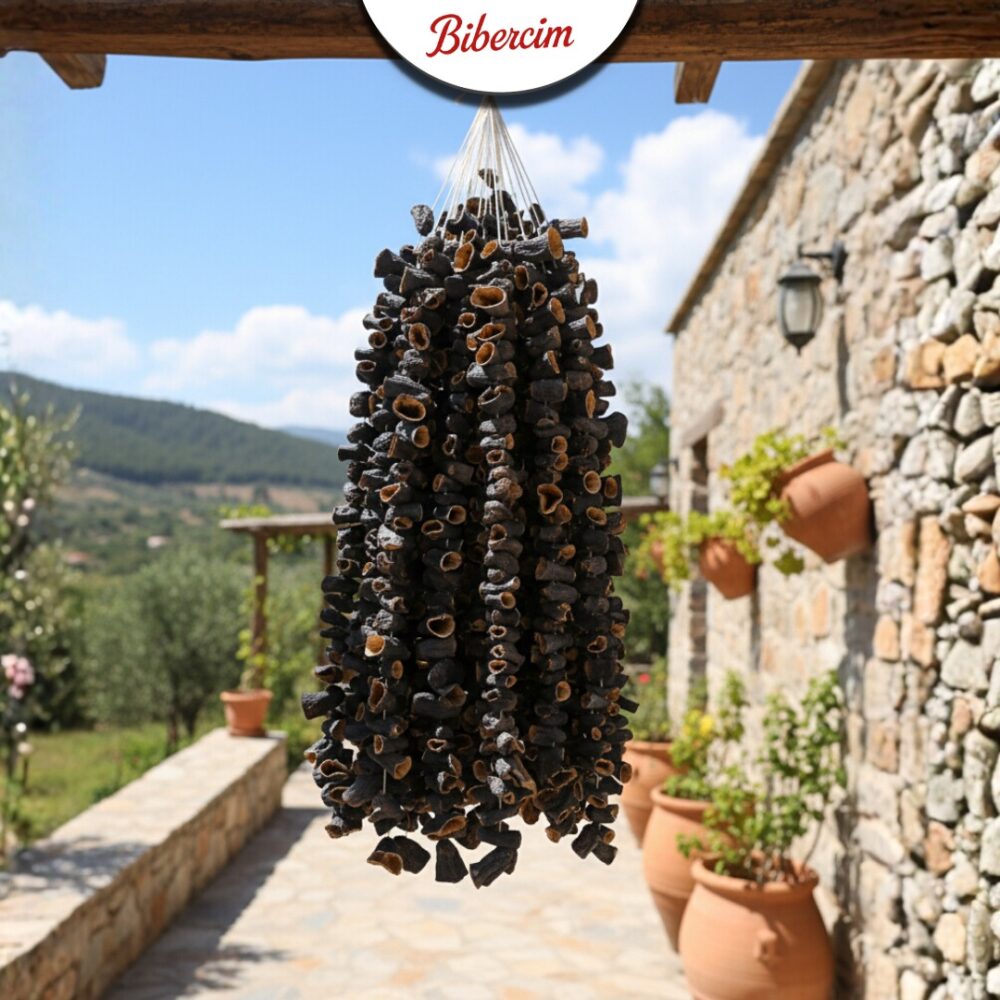 MARAŞ PATLICAN KURUSU